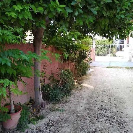 Kokkooning * Kokkónion