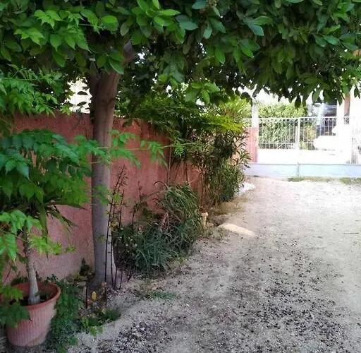 Kokkooning * Kokkónion