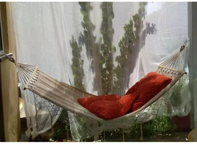 Kokkooning * Kokkónion